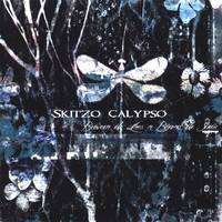Skitzo Calypso : Between the Lines and Beyond the Static